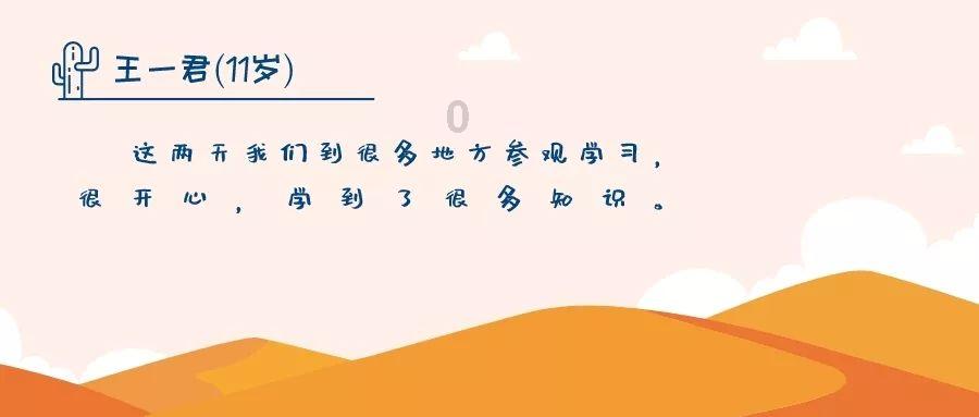 拯救受伤的猫